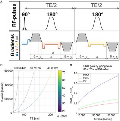 Practical considerations of diffusion-weighted MRS with ultra-strong diffusion gradients